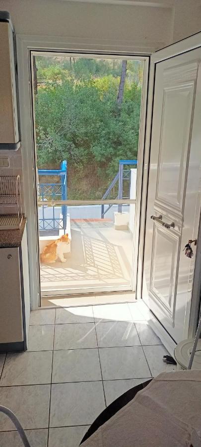 Siviri Sea & Forest-Cozy Apartment With Garden & Nature Views Exterior foto